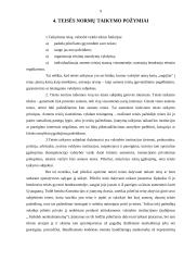 Teisės normų įgyvendinimas 9 puslapis