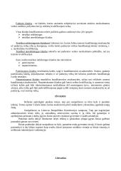 Teisės pagrindų temos 13 puslapis