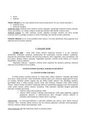 Teisės pagrindų temos 7 puslapis