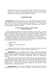 Teisės pagrindų temos 10 puslapis