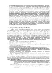 Teisės pažeidimai elektroninėje erdvėje ir jų prevencija 3 puslapis