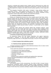 Teisės pažeidimai elektroninėje erdvėje ir jų prevencija 5 puslapis