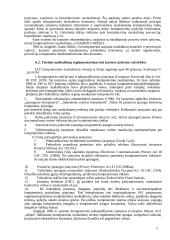 Teisės pažeidimai elektroninėje erdvėje ir jų prevencija 6 puslapis