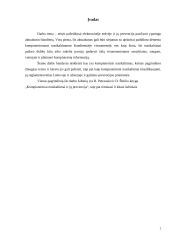 Teisės pažeidimai kompiuterinėje erdvėje ir jų prevencija 2 puslapis