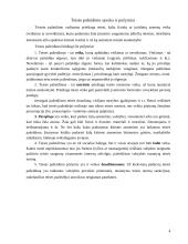 Teisėto elgesio samprata, teisės pažeidimas ir jo rūšys 4 puslapis