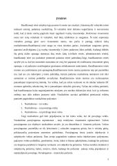 Teisės pažeidimo analizė 2 puslapis