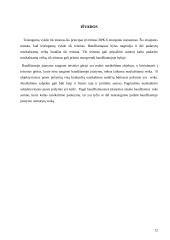 Teisės pažeidimo analizė 11 puslapis