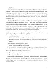 Teisės pažeidimo analizė 8 puslapis