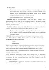 Teisės pažeidimo analizė 9 puslapis