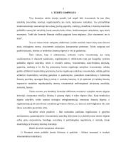 Teisės sampratos teorinė ir praktinė reikšmė 2 puslapis