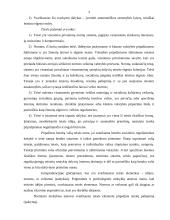 Teisės sampratos teorinė ir praktinė reikšmė 3 puslapis