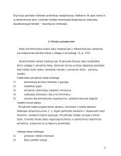 Teisės sistema 13 puslapis