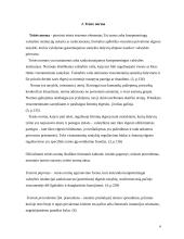 Teisės sistema 4 puslapis