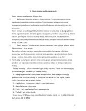 Teisės sistema 6 puslapis