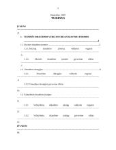 Teisinės draudimo veiklos formos 2 puslapis