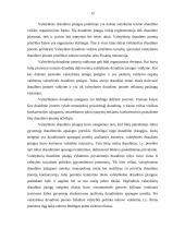 Teisinės draudimo veiklos formos 12 puslapis