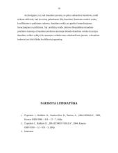 Teisinės draudimo veiklos formos 16 puslapis