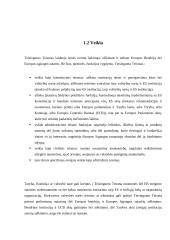 Teisingumo teismas. Jo kompetencija 5 puslapis