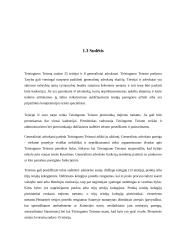 Teisingumo teismas. Jo kompetencija 7 puslapis