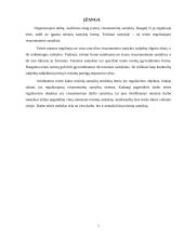 Teisiniai santykiai 2 puslapis