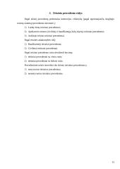 Teisinis precedentas 13 puslapis