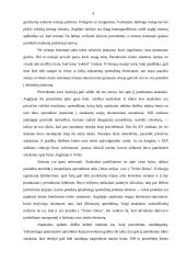 Teisinio precedento esmė 4 puslapis