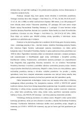 Teisinio precedento esmė 7 puslapis