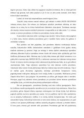 Teisinio precedento esmė 10 puslapis