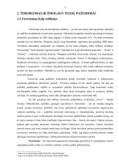 Terorizmas ir žmogaus teisių pažeidimas 2 puslapis