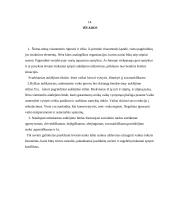 Tėvų auklėjimo stilių įtaka vaiko socialiniams raidos sutrikimams formuotis 13 puslapis