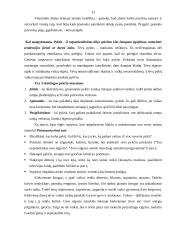 Tėvų ir vaikų tarpusavio konfliktai 12 puslapis