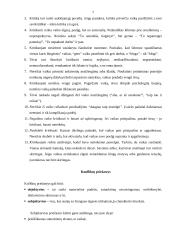 Tėvų ir vaikų tarpusavio konfliktai 6 puslapis