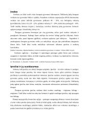 Tinkamų laisvalaikio įpročių ugdymas pradiniame mokykliniame amžiuje 3 puslapis