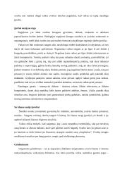 Tinkamų laisvalaikio įpročių ugdymas pradiniame mokykliniame amžiuje 5 puslapis