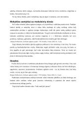 Tinkamų laisvalaikio įpročių ugdymas pradiniame mokykliniame amžiuje 9 puslapis