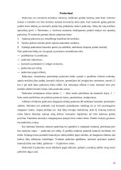 Tinklinio mokymo metodika 13 puslapis