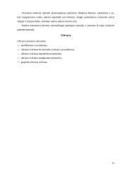 Tinklinio mokymo metodika 14 puslapis