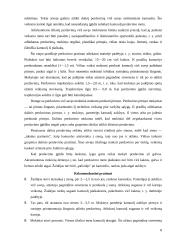 Tinklinio mokymo metodika 7 puslapis