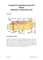 Transport of Substances across the Plasma Membrane in Eukaryotic Cells