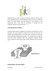 Transport of Substances across the Plasma Membrane in Eukaryotic Cells 2 puslapis