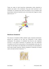Transport of Substances across the Plasma Membrane in Eukaryotic Cells 3 puslapis