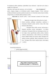 Traumatizmas. Bukais daiktais padarytų sužalojimų mechanizmas, automobilių traumos, šalutiniai sužalojimai 5 puslapis