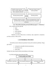 Traumatizmas. Bukais daiktais padarytų sužalojimų mechanizmas, automobilių traumos, šalutiniai sužalojimai 6 puslapis