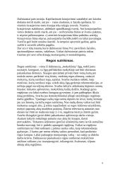 Traumos mokykloje – priežastys ir taktika 4 puslapis