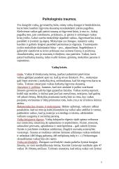 Traumos mokykloje – priežastys ir taktika 5 puslapis