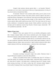 Trumpų nuotolių bėgimas 4 puslapis