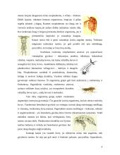 Tvenkiniuose auginamų žuvų (karpių) mityba 4 puslapis