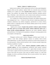 Ugdymo daugiamatiškumas 2 puslapis
