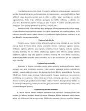 Ugdymo daugiamatiškumas 4 puslapis