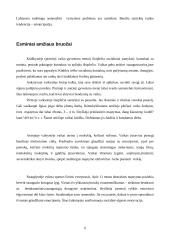 Ugdymo pedagogika 6 puslapis